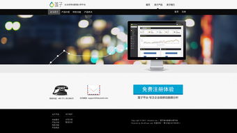 网站设计 从概念到用户界面的艺术与科学